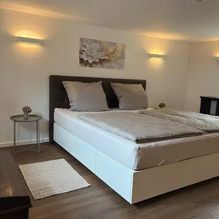 Waldblick Am Rhein - & Citynah - Appartement Bonn