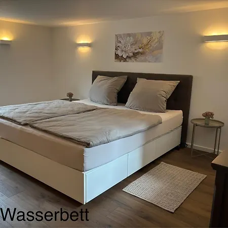 Waldblick Am Rhein - & Citynah -